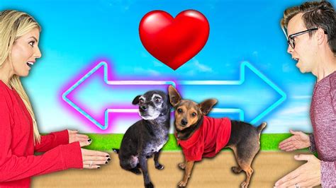 peanut and blackjack|pawzam dogs youtube.